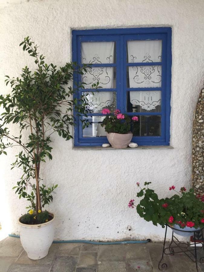 Villa Lula Nea Styra Exterior photo